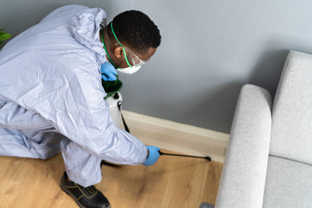 Professional Pest Control in South Miami, FL